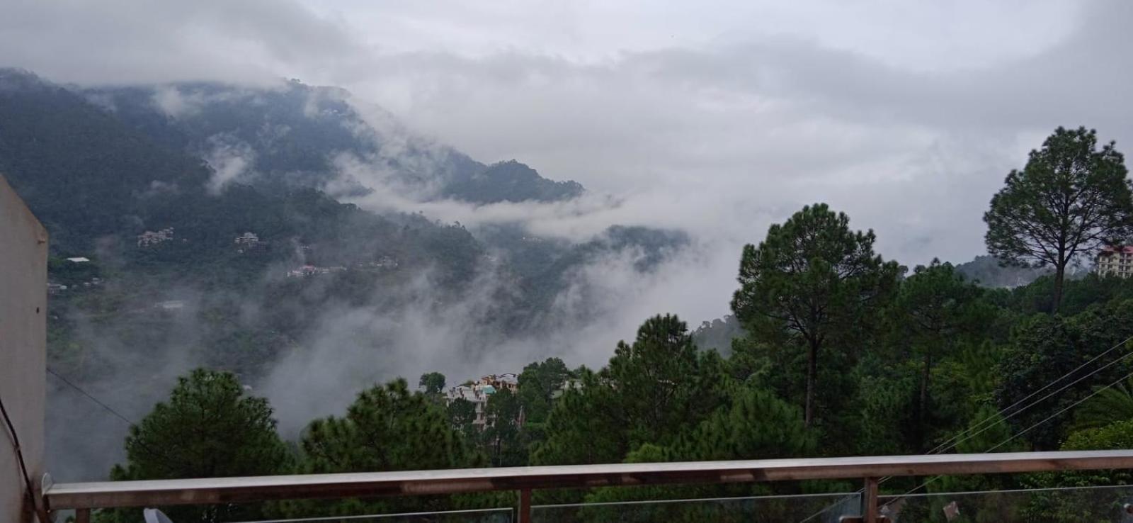 Mystic Forest View Kasauli I Serviced Villa I Best Seller I Vacations I Family Events I Open Air Lawn I Sky Bonfire I Kasauli By Exotic Stays Exterior photo