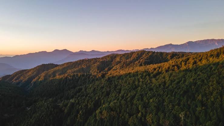 Mystic Forest View Kasauli I Serviced Villa I Best Seller I Vacations I Family Events I Open Air Lawn I Sky Bonfire I Kasauli By Exotic Stays Exterior photo
