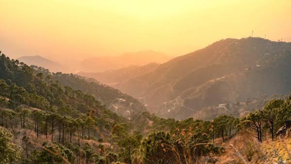Mystic Forest View Kasauli I Serviced Villa I Best Seller I Vacations I Family Events I Open Air Lawn I Sky Bonfire I Kasauli By Exotic Stays Exterior photo