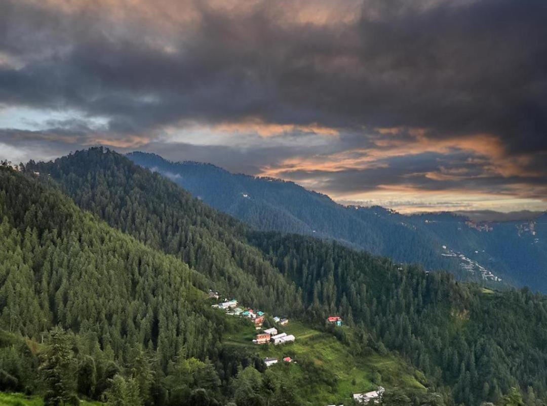 Mystic Forest View Kasauli I Serviced Villa I Best Seller I Vacations I Family Events I Open Air Lawn I Sky Bonfire I Kasauli By Exotic Stays Exterior photo