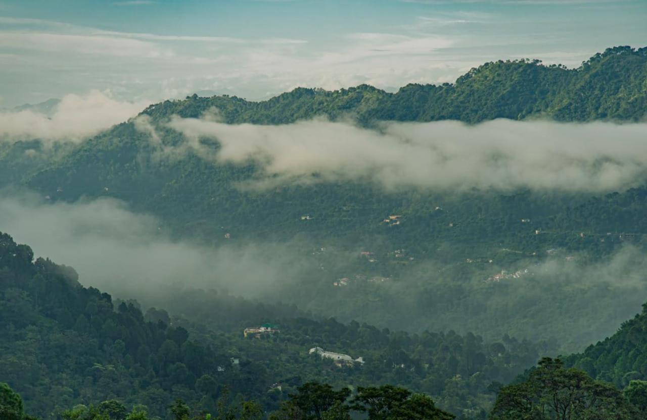 Mystic Forest View Kasauli I Serviced Villa I Best Seller I Vacations I Family Events I Open Air Lawn I Sky Bonfire I Kasauli By Exotic Stays Exterior photo